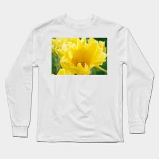 Tulipa  &#39;Yellow Spider&#39;  Tulip Long Sleeve T-Shirt